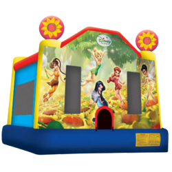Disney Fairies