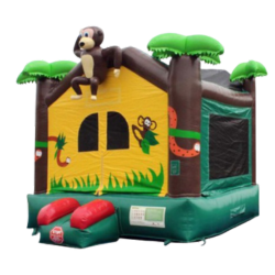 Jungle MOnkey