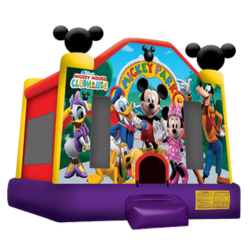 Mickey Park